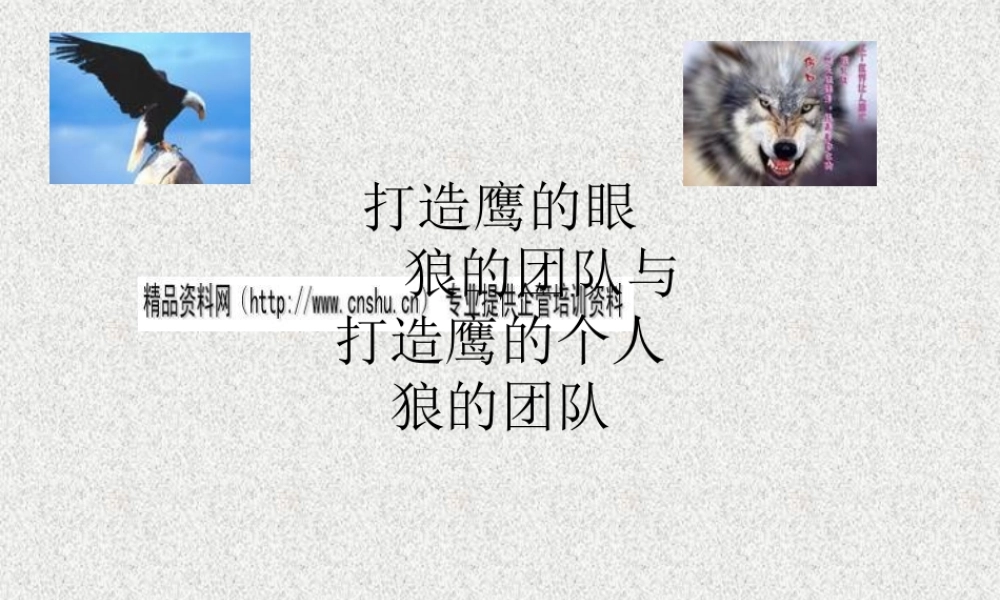 如何打造鹰的个人狼团队