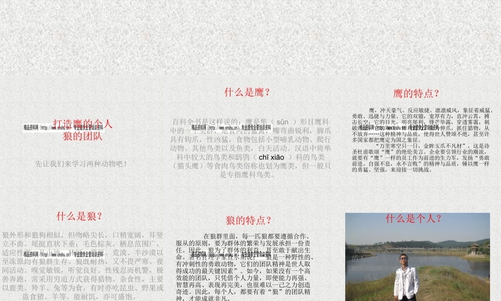 如何打造鹰的个人狼团队