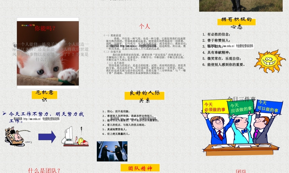 如何打造鹰的个人狼团队