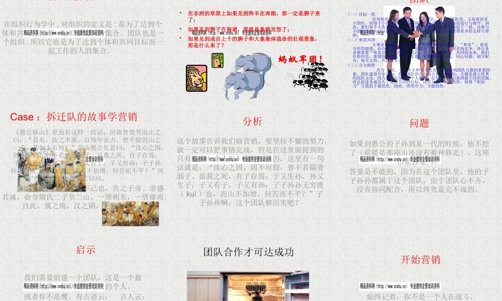 如何打造鹰的个人狼团队