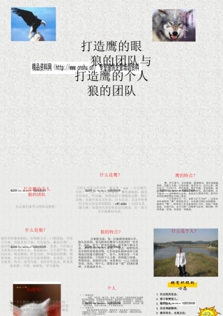 如何打造鹰的个人狼团队