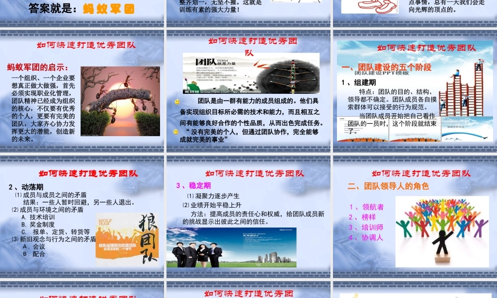 如何打造优秀团队(PPT 46页)