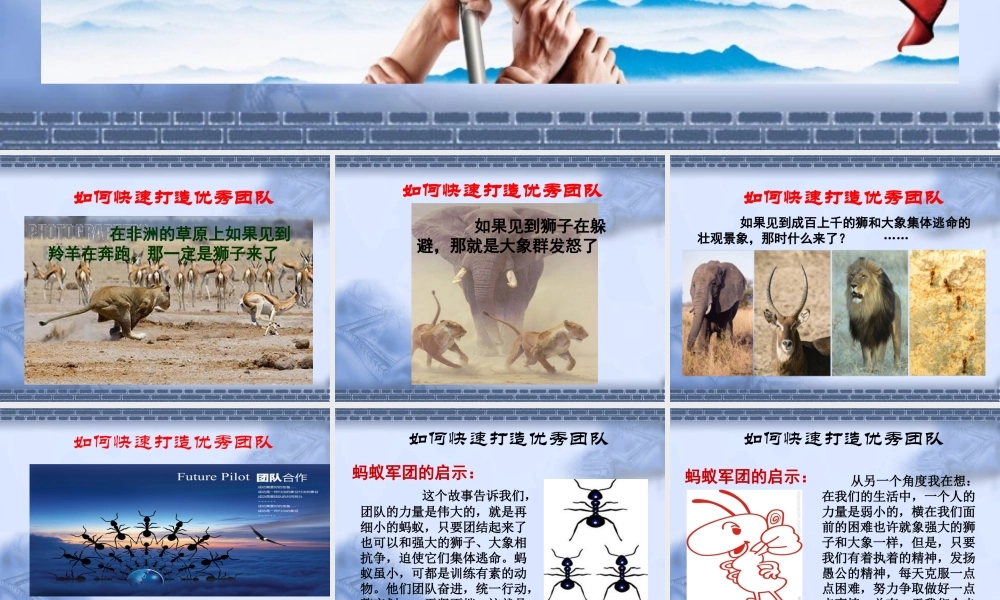 如何打造优秀团队（PPT页)