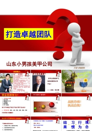 如何打造卓越团队(PPT 页)