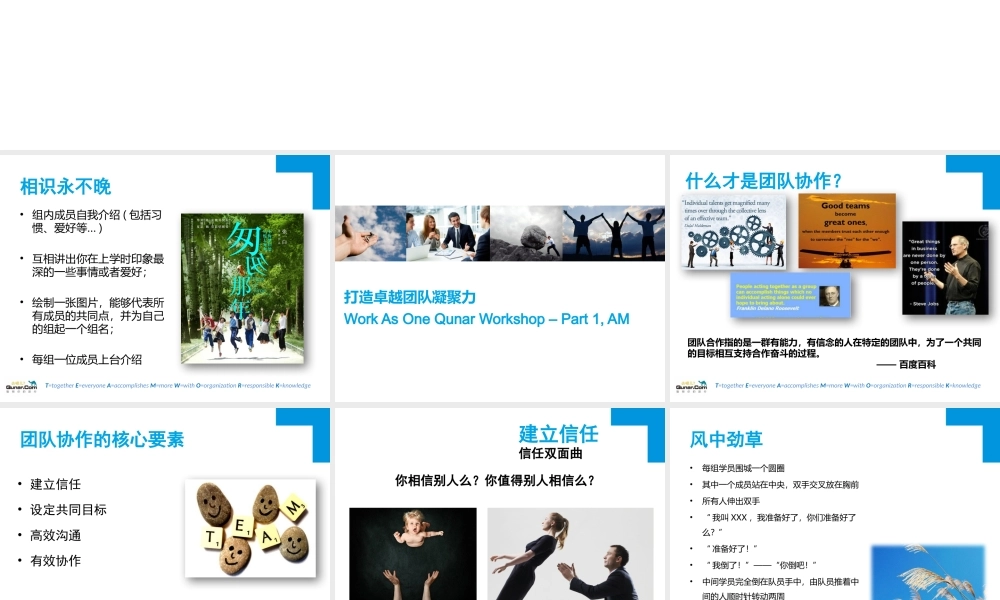 如何打造卓越团队凝聚力