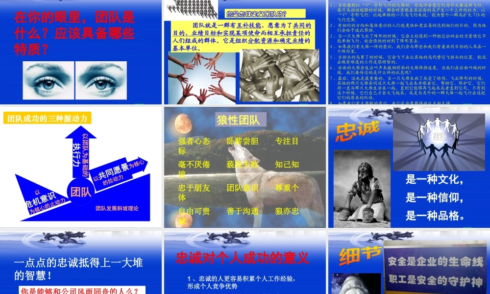 如何打造自动自发的团队