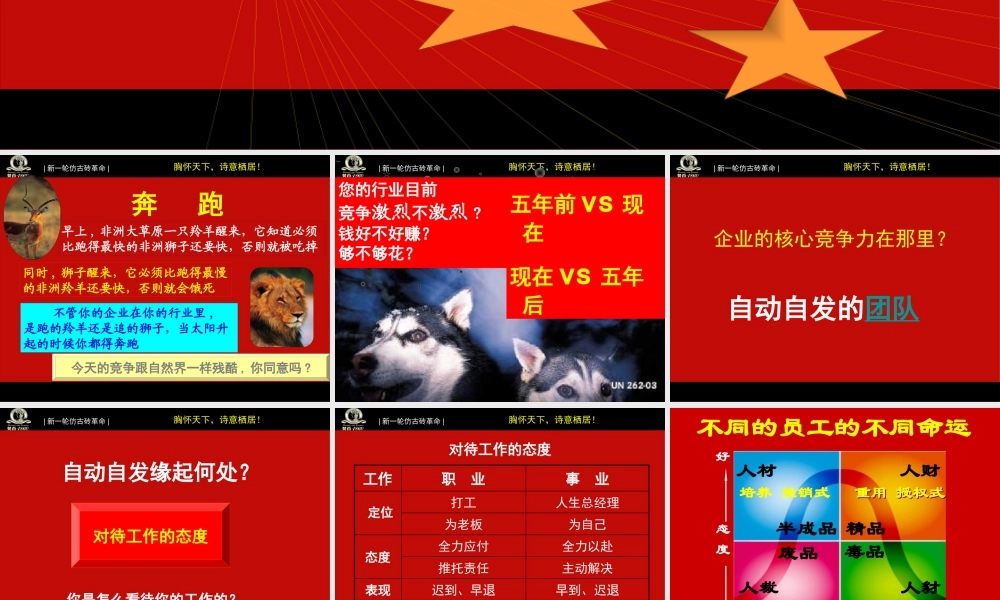 如何打造自动自发的卓越团队