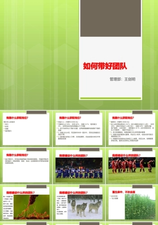 如何带好团队(PPT 页)