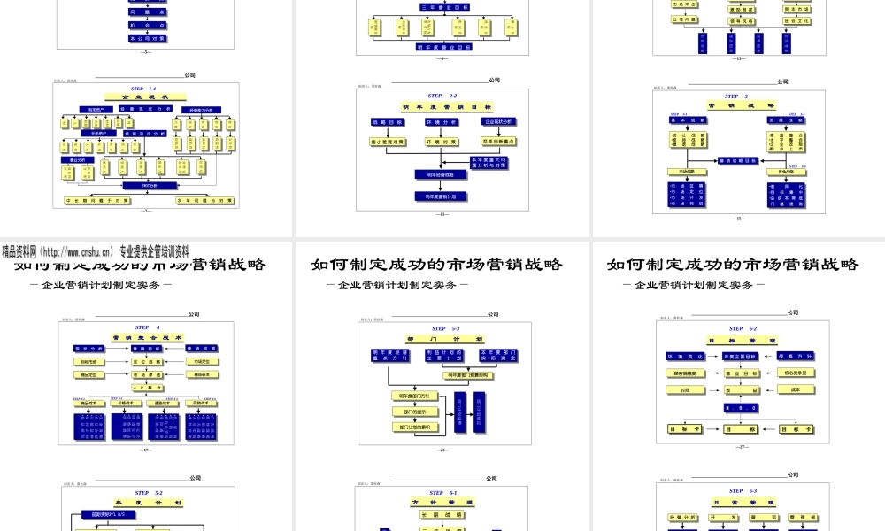 如何发展成功的市场营销战略.ppt30页