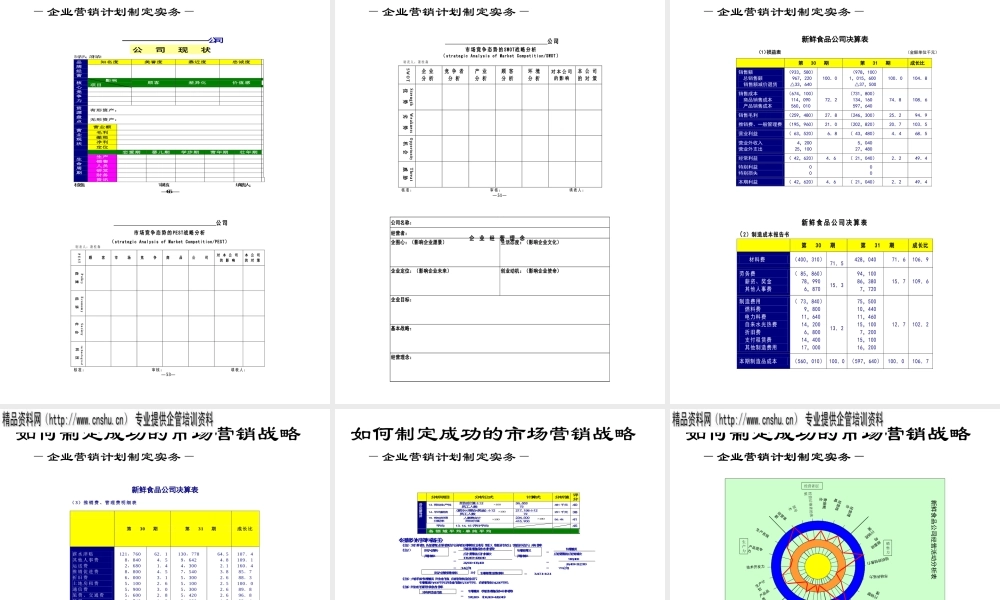 如何发展成功的市场营销战略.ppt30页