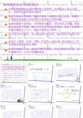 如何改善公司內部控制(ppt 18)