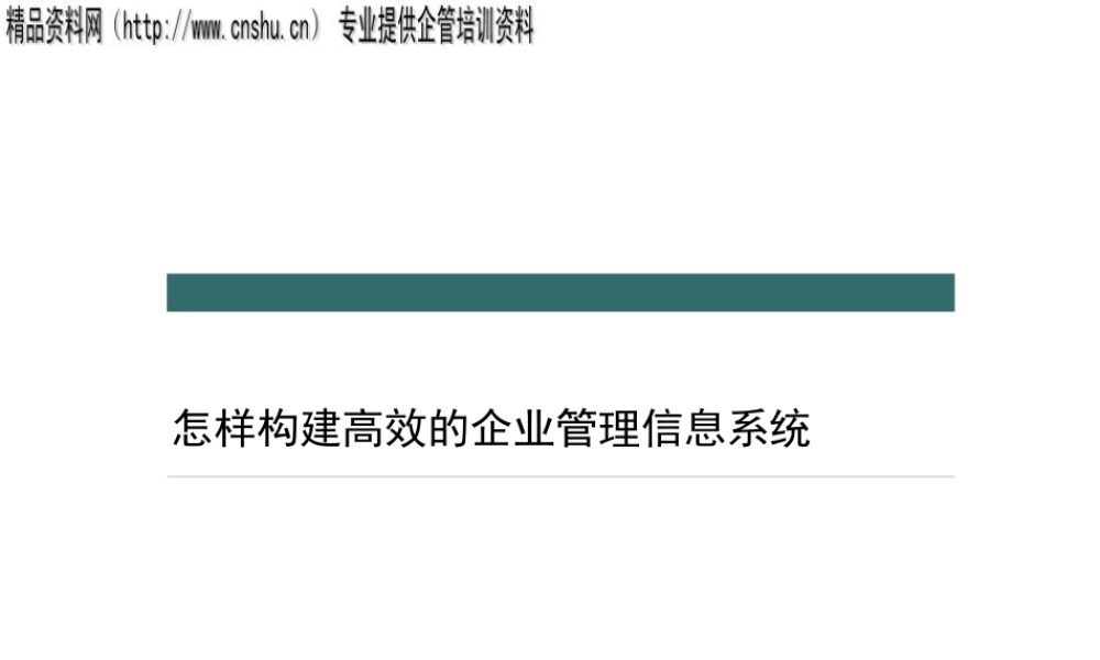 如何构建高效的企业管理信息系统(1)