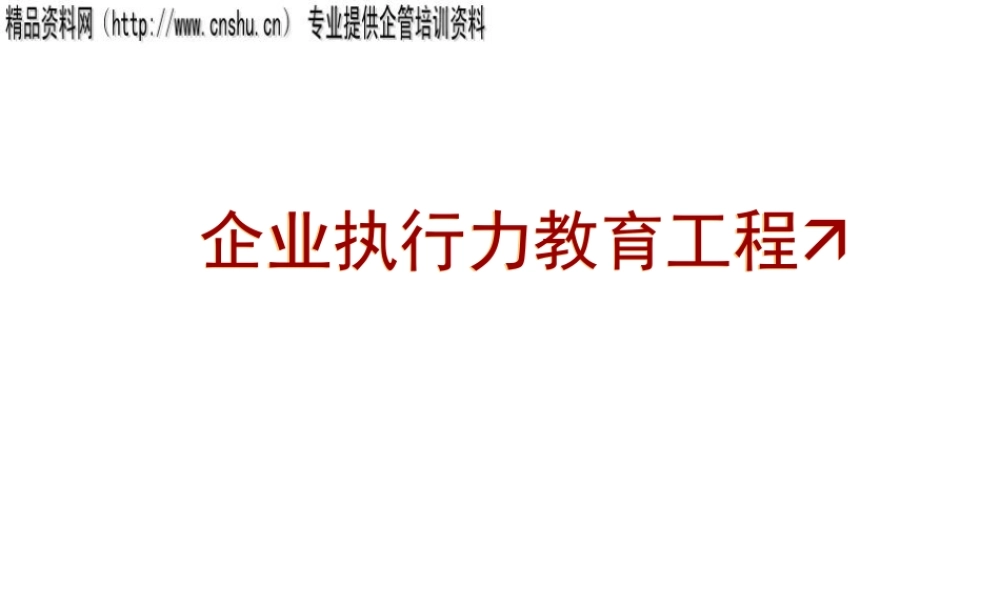 如何构建有效的执行流程PPT