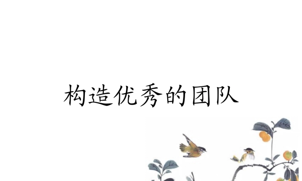 如何构造优秀的团队(PPT 39页)