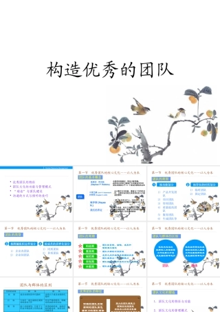 如何构造优秀的团队(PPT 39页)