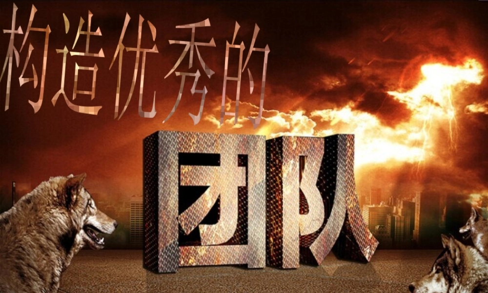 如何构造优秀的团队(PPT 页)
