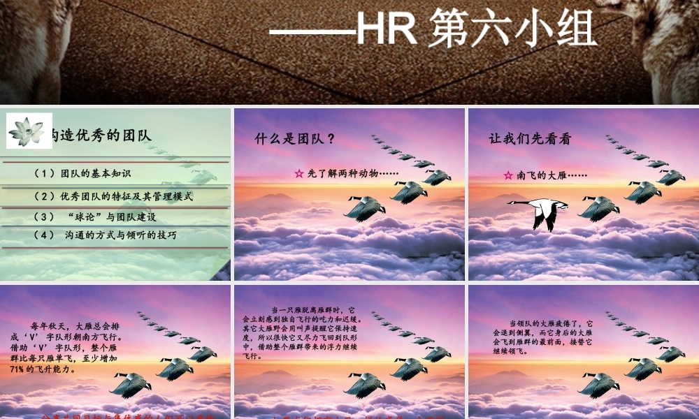 如何构造优秀的团队(PPT 页)