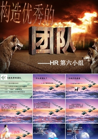 如何构造优秀的团队(PPT 页)