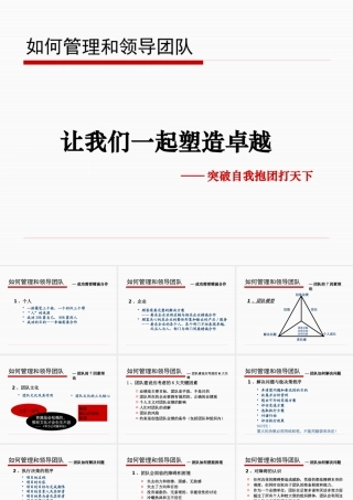 如何管理和领导团2