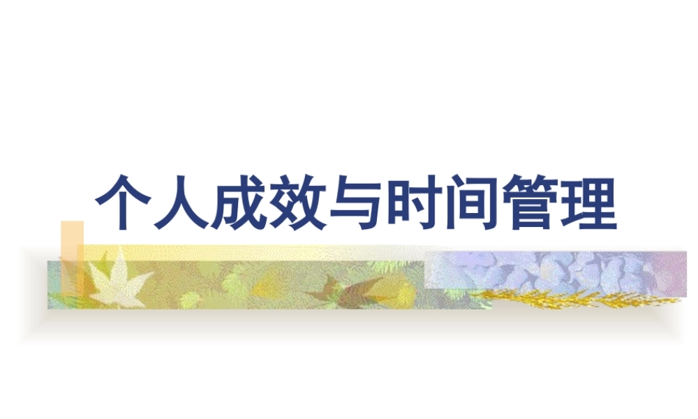 如何管理时间(ppt 页)