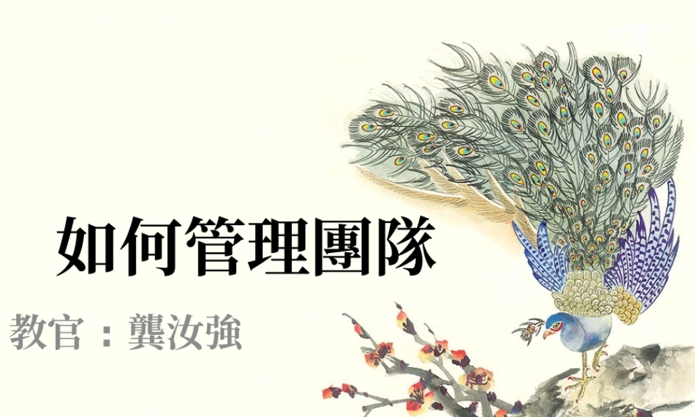 如何管理团队