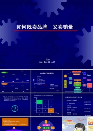 如何既卖品牌又卖产品(3)