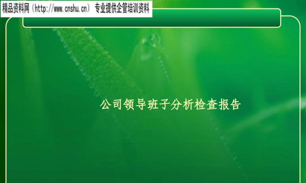 如何加强领导班子自身建设