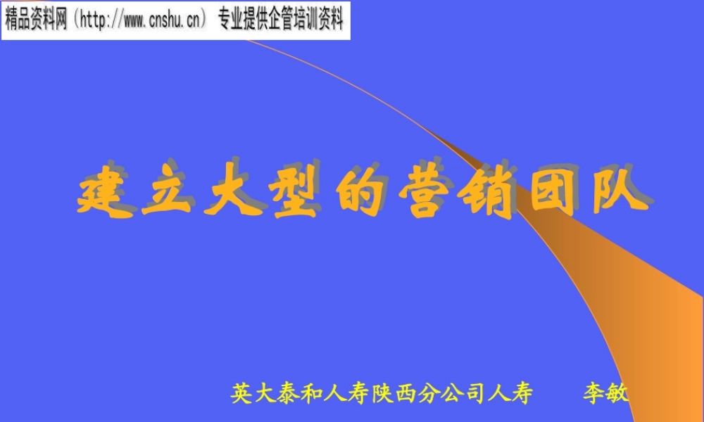 如何建立大型的营销团队(ppt 28页)