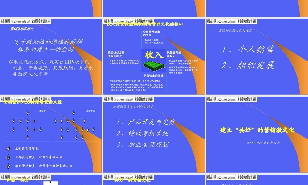 如何建立大型的营销团队(ppt 28页)