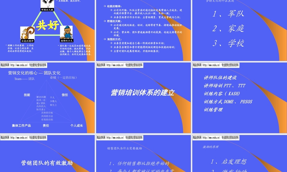 如何建立大型的营销团队(ppt 28页)