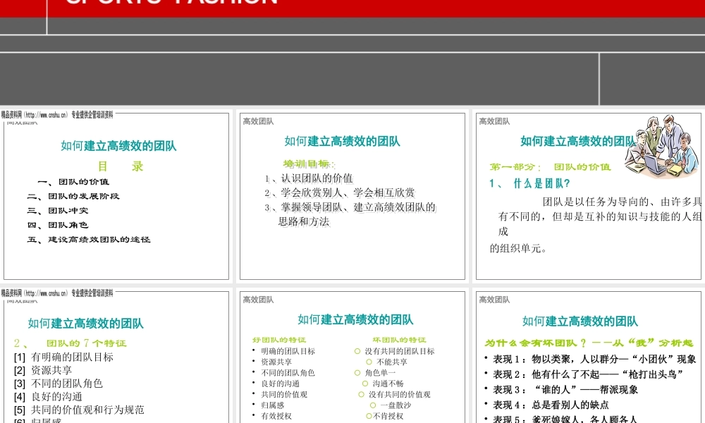 如何建立高绩效的团队（PPT88页）