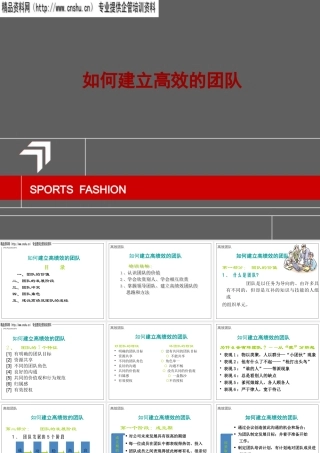 如何建立高绩效的团队（PPT88页）