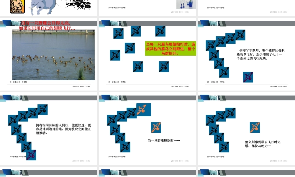 如何建立高效团队(PPT 页)