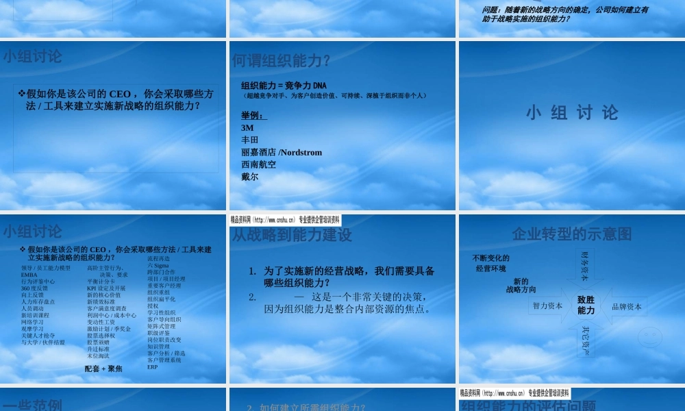如何建立实施战略的组织能力(ppt 158页)