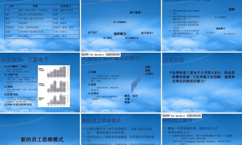 如何建立实施战略的组织能力(ppt 158页)