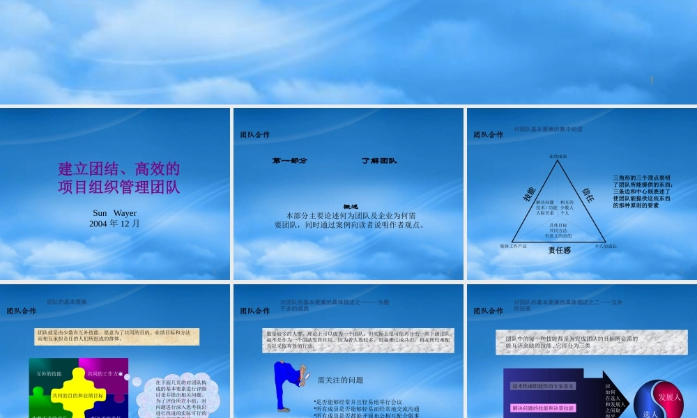 如何建立团结、高效的项目组织管理团队