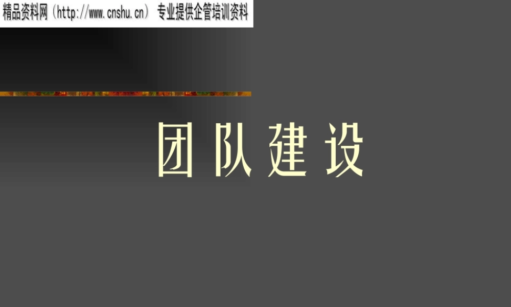 如何建立优秀的团队(ppt 页)