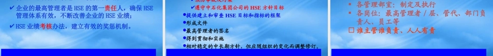 如何建立与运行HSE管理体系