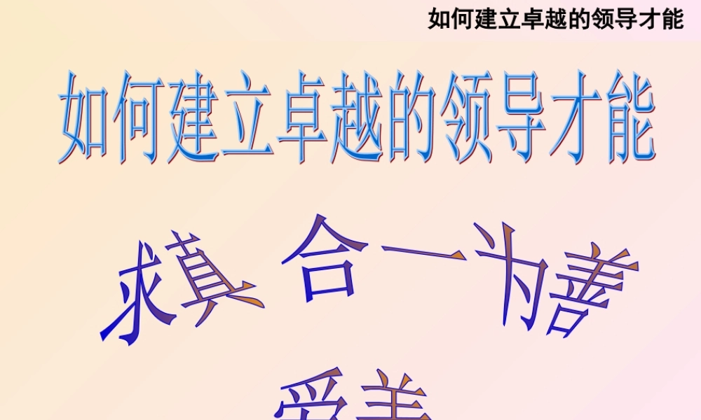 如何建立卓越的领导才能(ppt 157页)