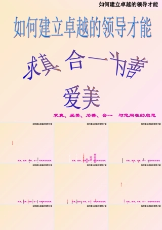 如何建立卓越的领导才能(ppt 157页)