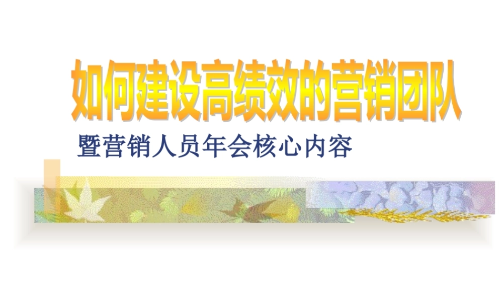 如何建设高绩效的营销团队(教材)