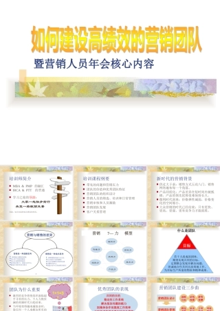 如何建设高绩效的营销团队(教材)