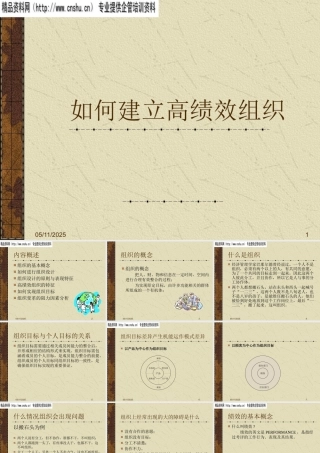 如何进行高效组织设计