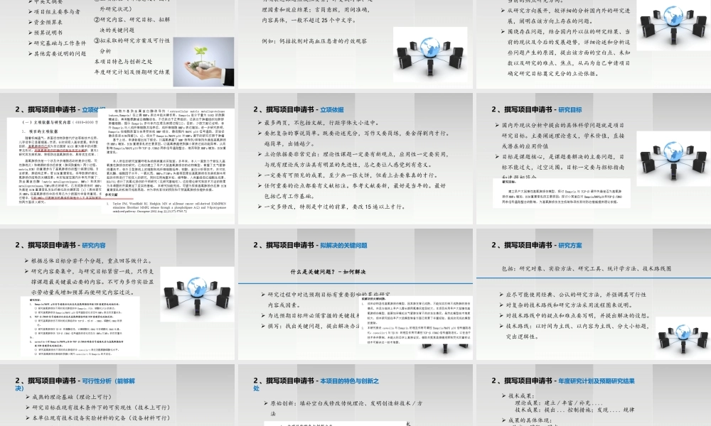 如何进行科研项目申报及标书撰写(PPT31页)