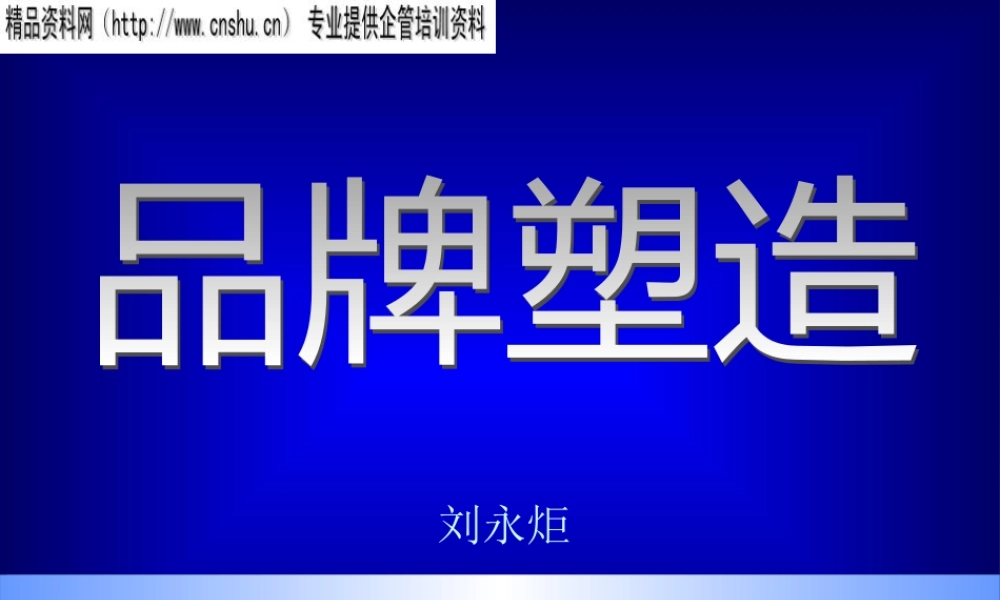 如何进行品牌塑造(ppt 173页)3
