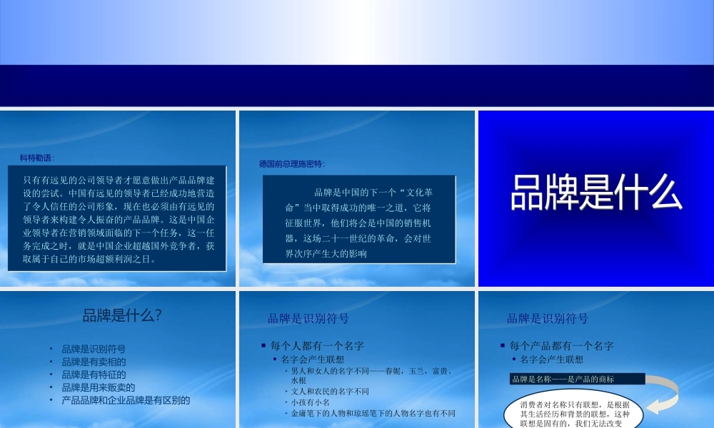 如何进行品牌塑造(ppt 173页)3