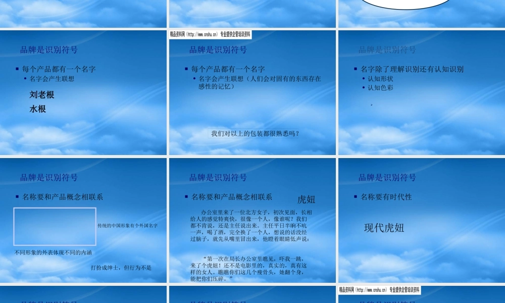 如何进行品牌塑造(ppt 173页)3