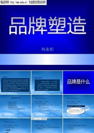 如何进行品牌塑造(ppt 173页)3