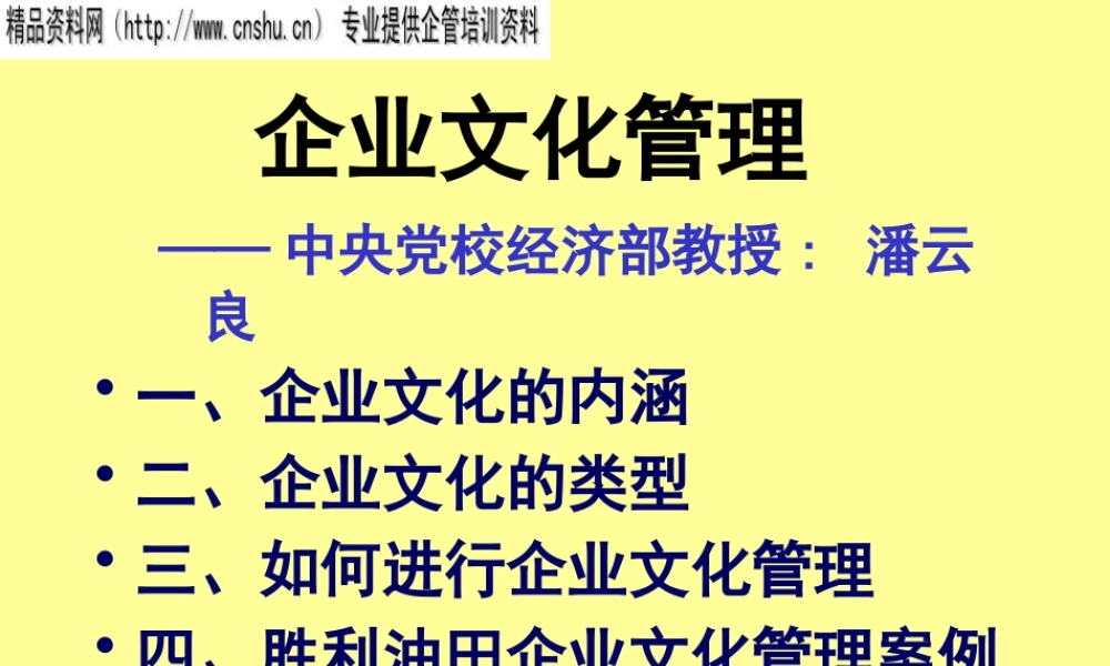 如何进行企业文化管理