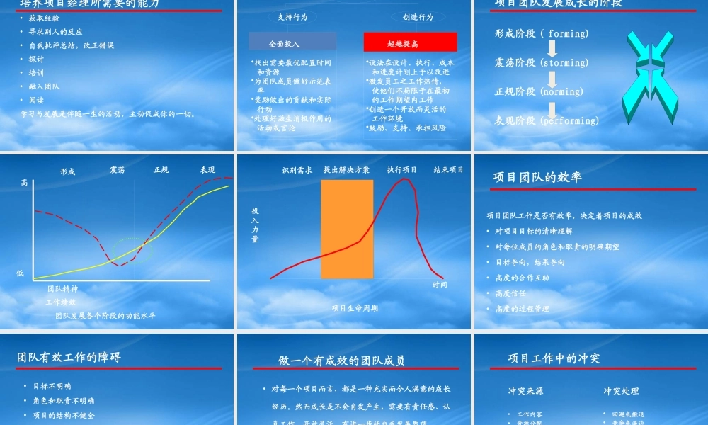 如何进行项目的经营与管理
